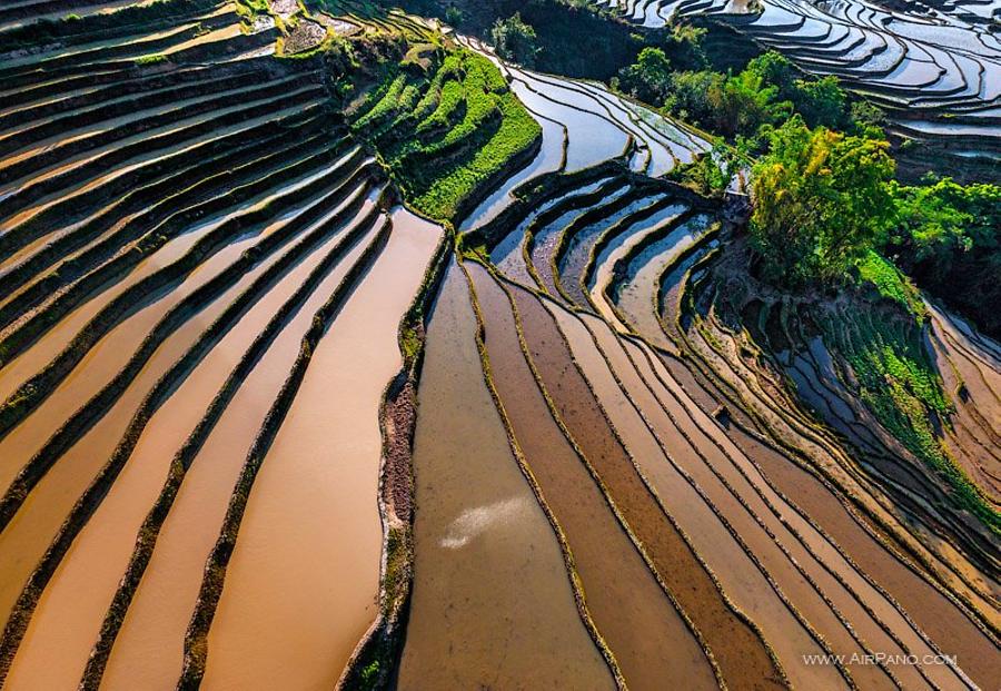 Yuanyang Hani Rice Terraces (AP) | Special Information | China | Asia